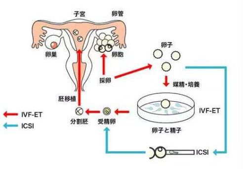 7月育儿知识中班
