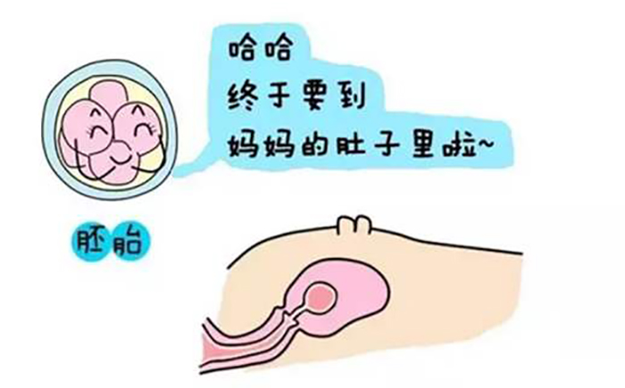 早产儿