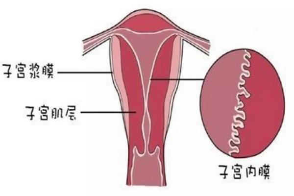 早产儿