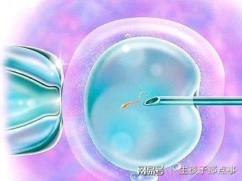 婴儿