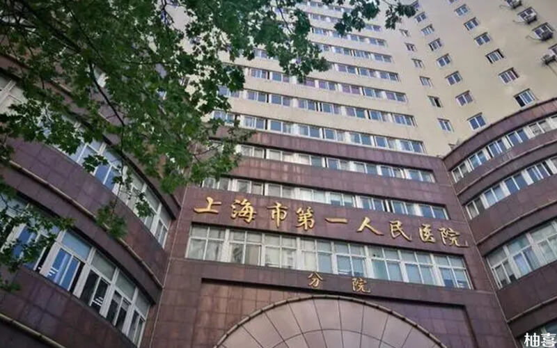 妊娠三个月