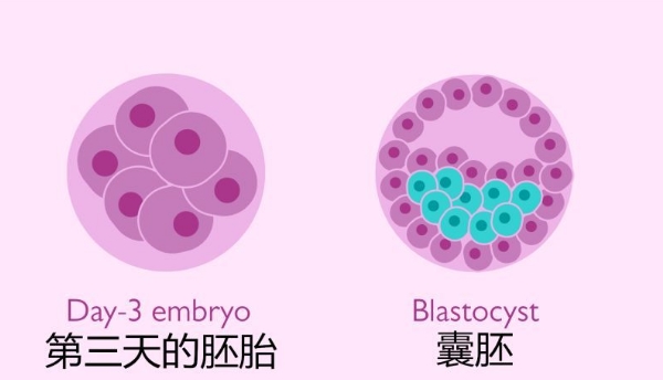 三期赔偿