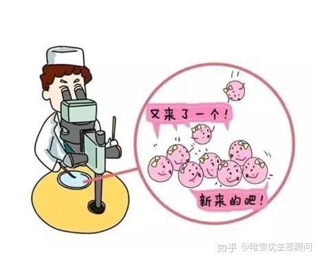 40天胎儿