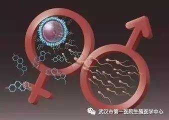 40多天小产