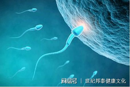 宝宝成长