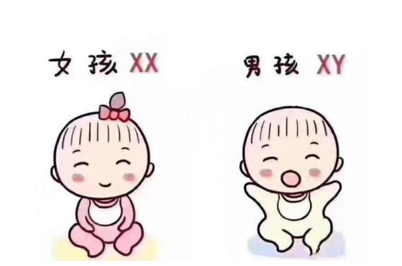 胎儿体重