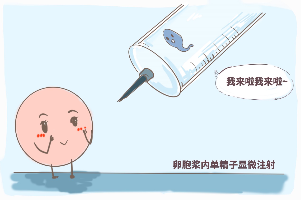 肚皮摄影