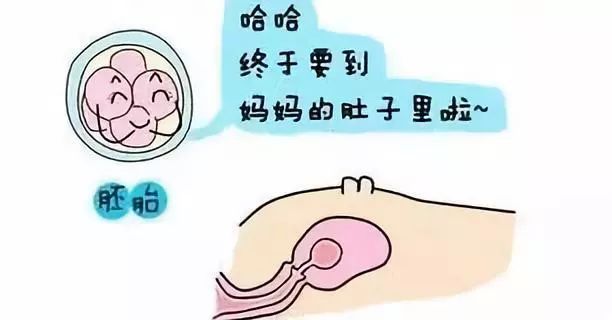 小产权房