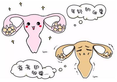 42岁女性