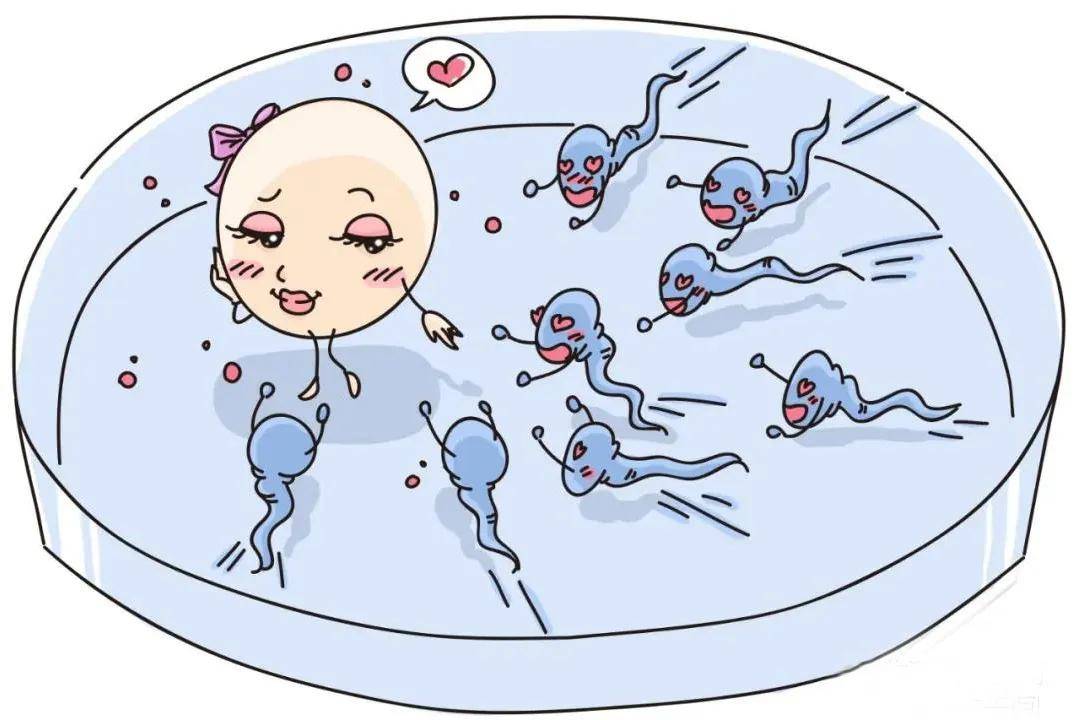 婴儿