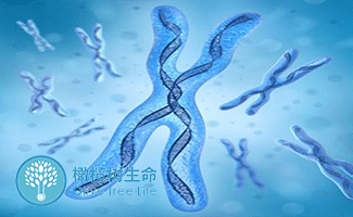 40年产权