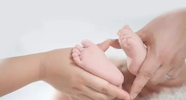 胎儿发育