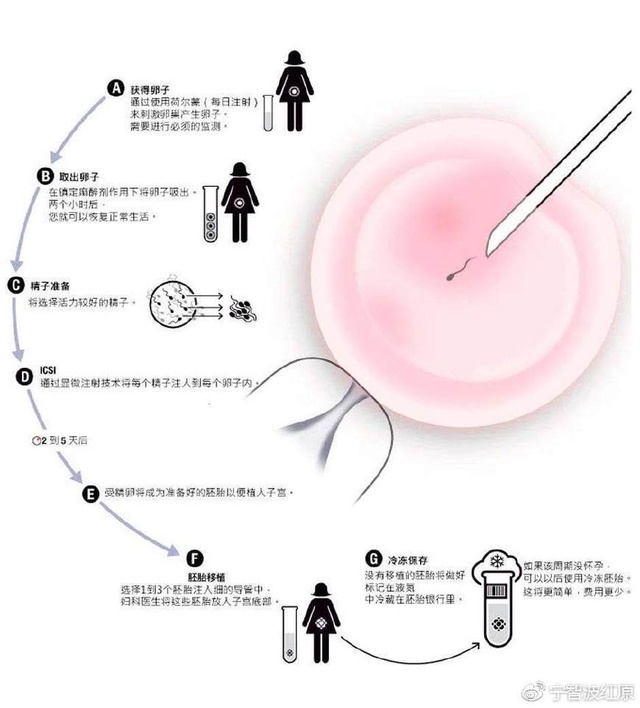 泰国第三代试管