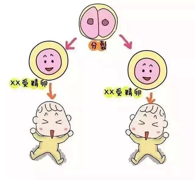 泰国试管婴儿机构