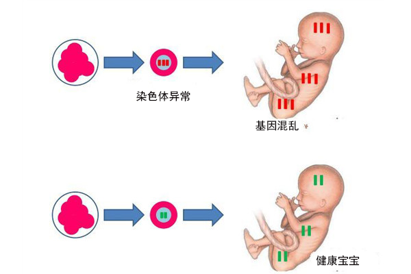 泰国试管婴儿医院