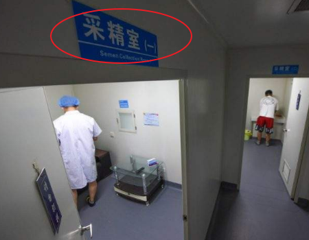 捐卵费用
