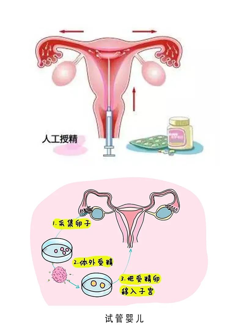 郑州捐卵招聘