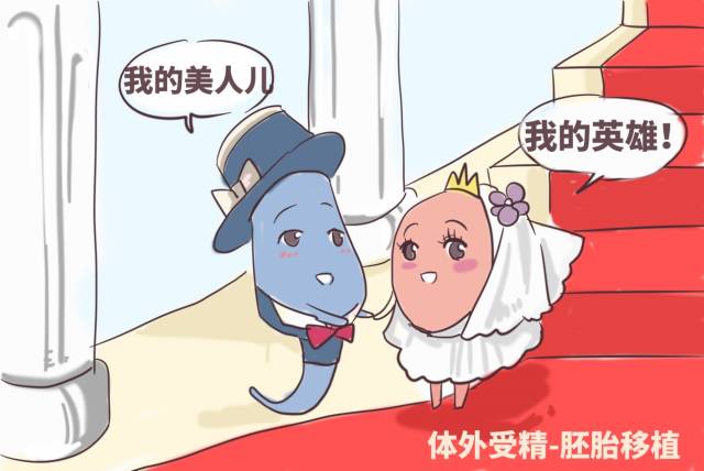 北京捐卵机构