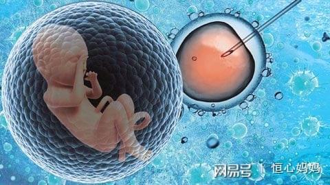 卵子来源