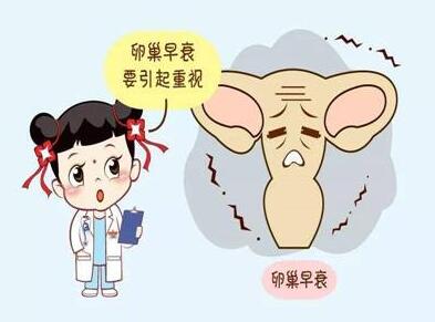 合肥助孕公司