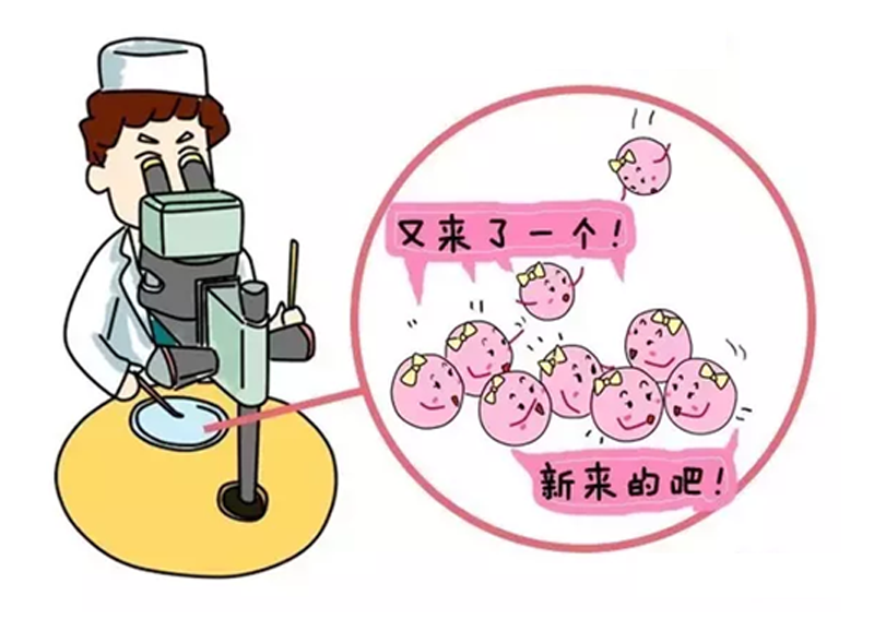 北医三院试管婴儿费用