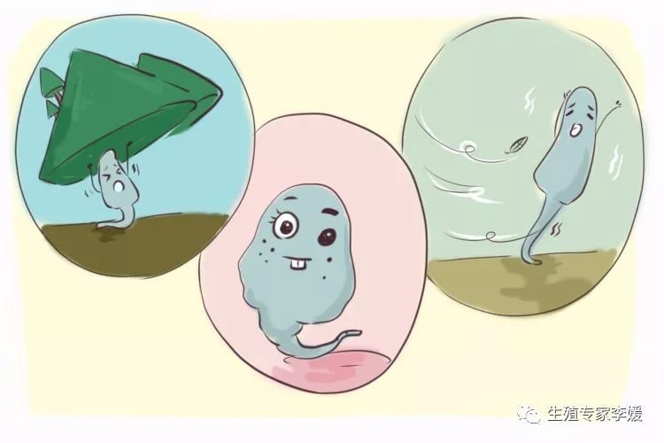 北海捐卵招聘多少钱